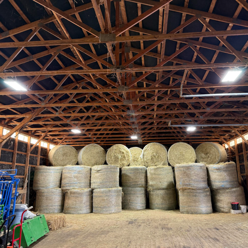 Lls X Hblin8 2 1059080 Cc Barn Shed